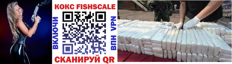Купить закладки  Дубовка  COCAIN VHQ 