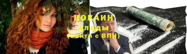 шишки Карталы