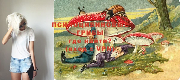 дурь Касимов