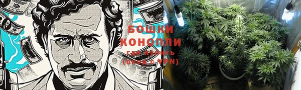 шишки Карталы