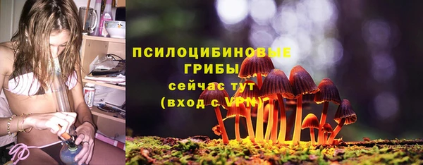 кокс Карпинск