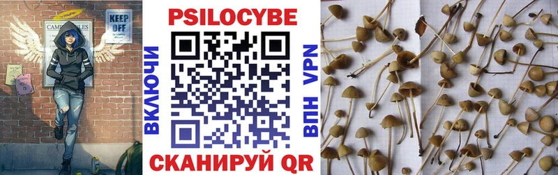 Купить закладки  Дубовка  Псилоцибиновые грибы Psilocybine cubensis 