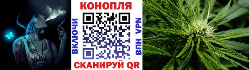 Шишки марихуана планчик  Купить где  Дубовка 